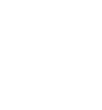 bison-title-logo-white